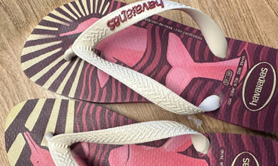20 years of Havaianas-IPÊ collections
