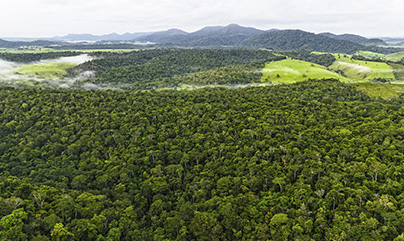 Funding from the Sol de Janeiro Foundation