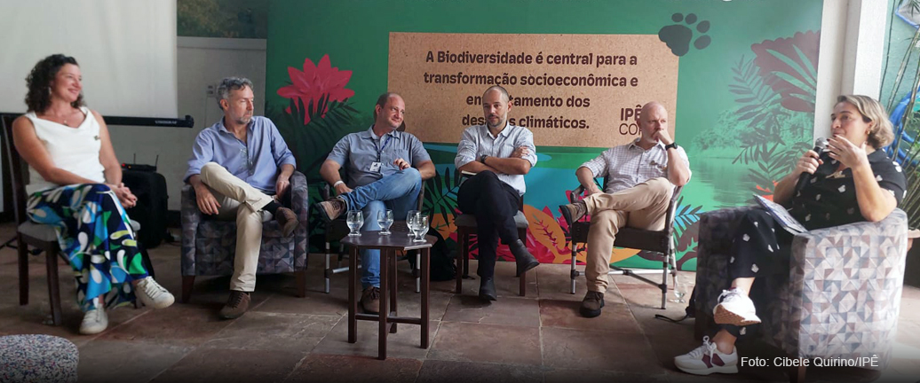 COALIZÃO PONTES PANTANEIRAS