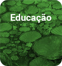 EDUCAÇÃO