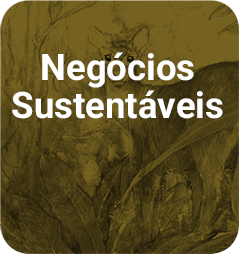 NEGÓCIOS SUSTENTÁVEIS